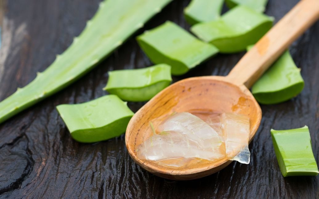 Unikátne vlastnosti šťavy z aloe